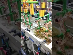 ইলেক্ট্রোপ্লেটিং অক্সিডেশন উৎপাদন লাইন